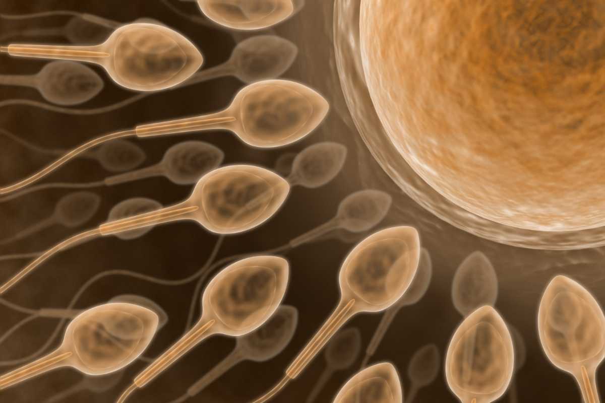 Como o estilo de vida impacta a fertilidade masculina
